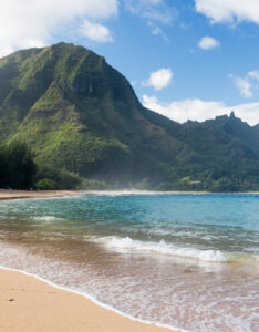 Business partners in Kauai