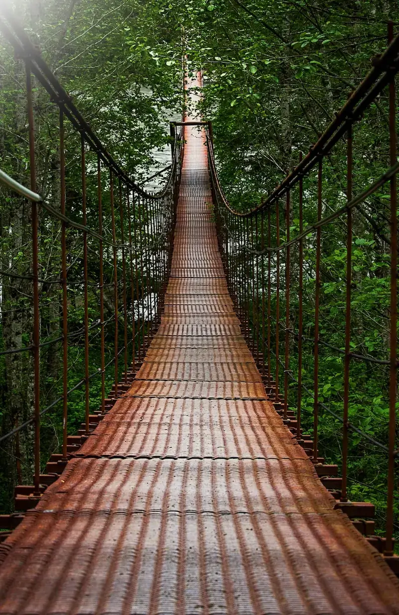 suspension-bridge-through-forest A suspension bridge crossing through a green forest toward the light