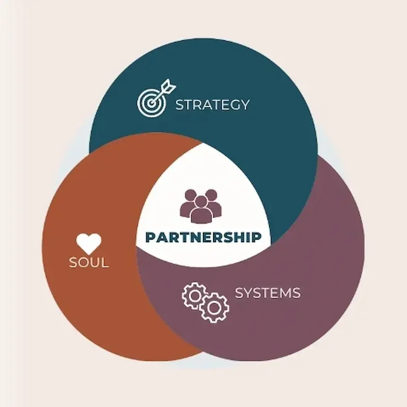 Diagram of Strategy, Systems and Soul overlapping, with the partnership at the centre